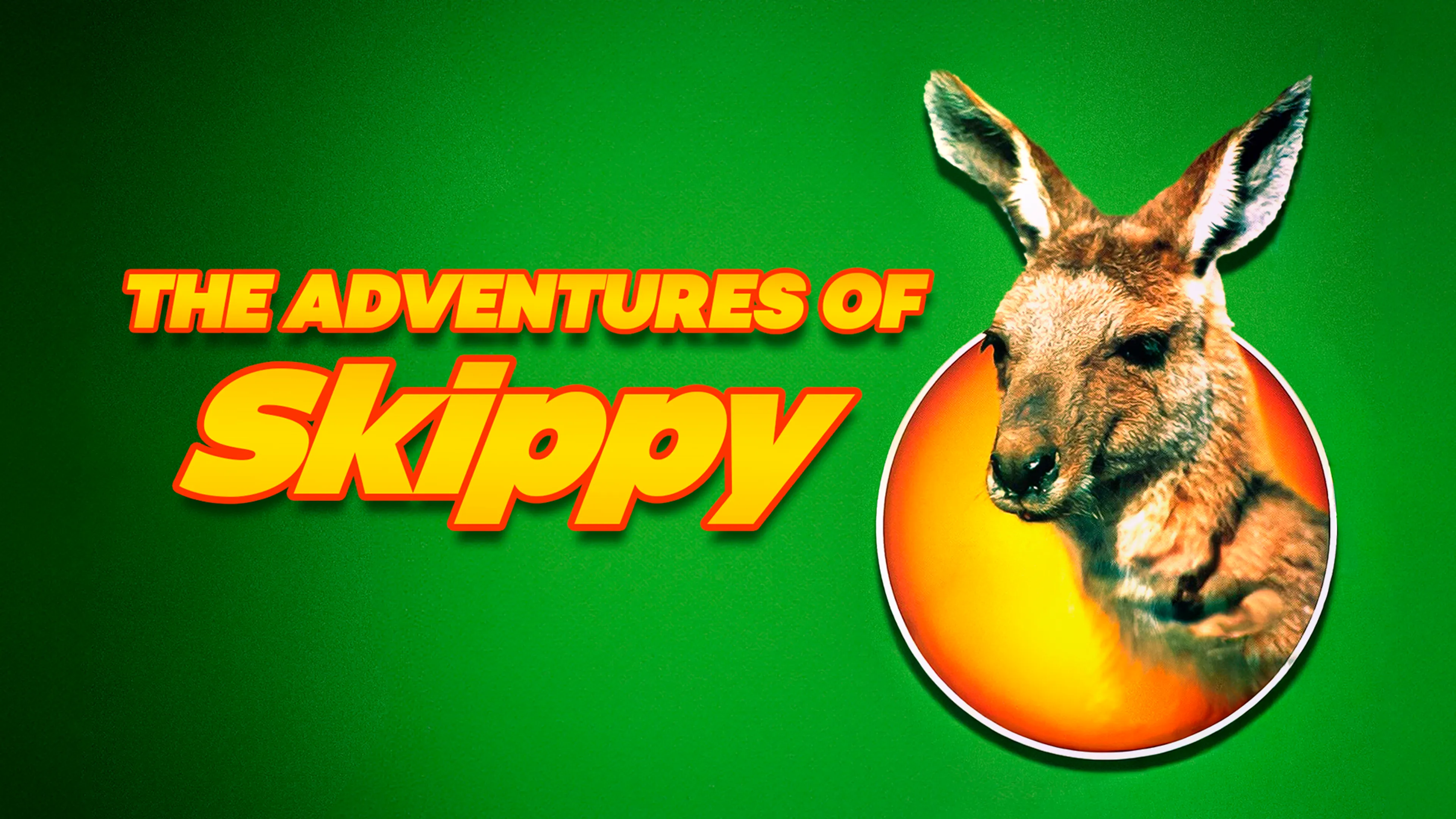 The Adventures Of Skippy poster